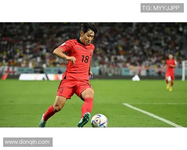 男韩星与足球明星的完美结合探索他们的魅力与成就